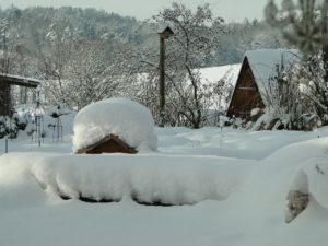 Schneebedeckter Garten